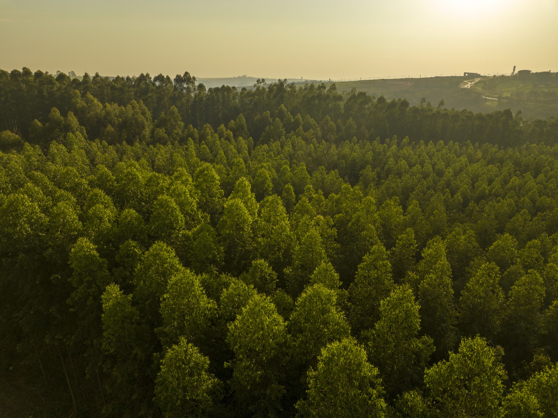 Vista aérea de floresta representando o compromisso da Riza Asset com sustentabilidade e investimento responsável